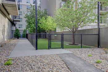 Enclosed dog park